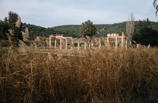 Βραυρώνα. Από τον Πάρι Ταβιτιάν