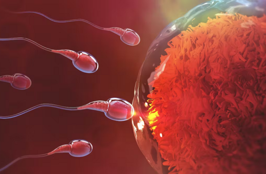 Νέα έρευνα ανακάλυψε ότι ο υπέρηχος μπορεί να ενισχύσει την κινητικότητα του σπέρματος