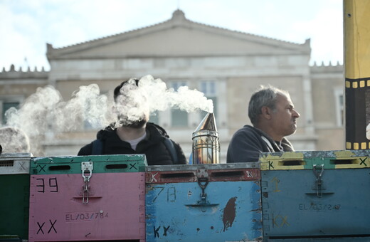 Με καπνιστήρια, κυψέλες και ειδικές στολές οι μελισσοκόμοι στο Σύνταγμα