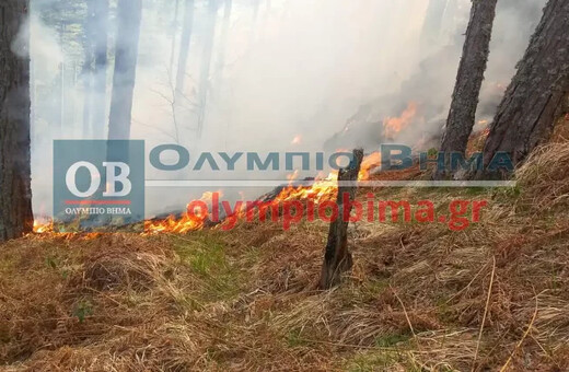 Φωτιά στα Πιέρια όρη - Οι δυσκολίες που αντιμετωπίζει η Πυροσβεστική