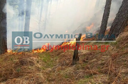 Φωτιά στα Πιέρια όρη: Ενισχύθηκαν οι επίγειες δυνάμεις