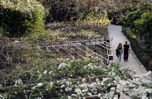 Εθνικός Κήπος: Υπάρχει όραμα για την ανάσα και τη μνήμη της πόλης;