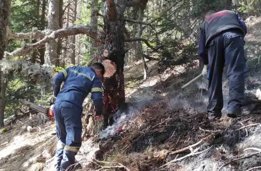 Φωτιά στα Πιέρια Όρη: Στις φλόγες παρθένο δάσος- Εξαιρετικά δύσβατο το σημείο
