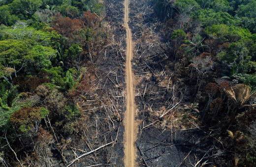 Κολομβία: Οι ένοπλοι αντάρτες χρησιμοποιούν τα δάση στον Αμαζόνιο για διαπραγματεύσεις με την κυβέρνηση