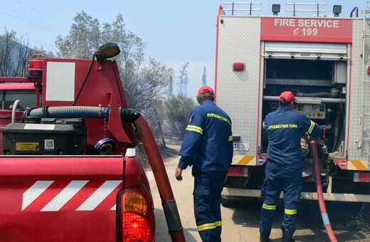 Φωτιά σε δασική έκταση στην Αγιά Λάρισας