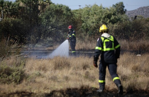 Πυροσβεστική: 56 αγροτοδασικές πυρκαγιές το τελευταίο 24ωρο στη χώρα