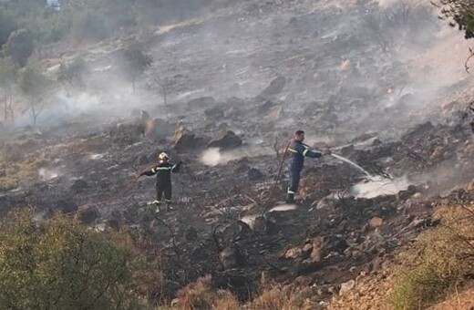 Η φωτιά στο Άλσος Βεΐκου προκλήθηκε από βεγγαλικά που πέταξαν ανήλικοι