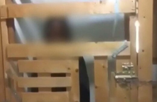 Καλαμάτα: Συνελήφθησαν οι γονείς της 29χρονης που την κρατούσαν κλεισμένη σε κλουβιά
