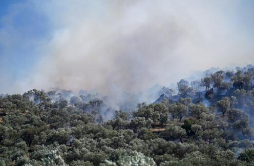 Φωτιά τώρα στην Αργολίδα: Νέο μήνυμα 112 στη Δάρδιζα