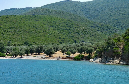 «Thessaly Evros Pass»: Ανοίγει την Τρίτη η πλατφόρμα