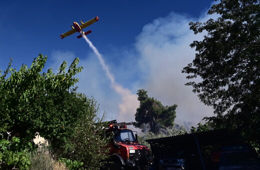 Φωτιά στον Άγιο Ελισαίο Μονεμβασίας