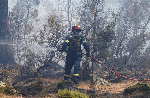 Συνελήφθη 28χρονος για τη φωτιά στη Λέσβο
