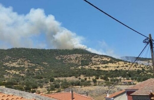 Φωτιά τώρα στη Λέσβο: Επιχειρούν 8 αεροσκάφη