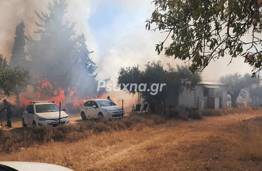 Φωτιά τώρα στην Εύβοια: 112 για την Ερέτρια