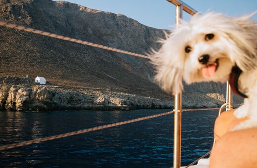 Νότια. Από τον Πάρι Ταβιτιάν