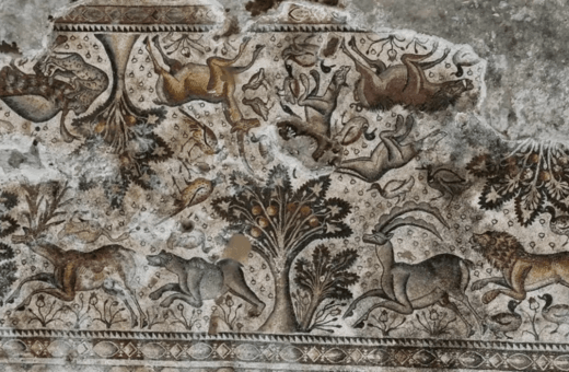 Τούρκος αγρότης ανακάλυψε βυζαντινό μωσαϊκό καθώς φύτευε δέντρα