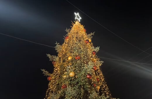 Φωταγωγήθηκε το πρώτο δέντρο για τα φετινά Χριστούγεννα στην Ελλάδα