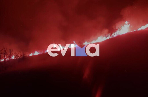 Φωτιά τώρα κοντά στα Στύρα Ευβοίας