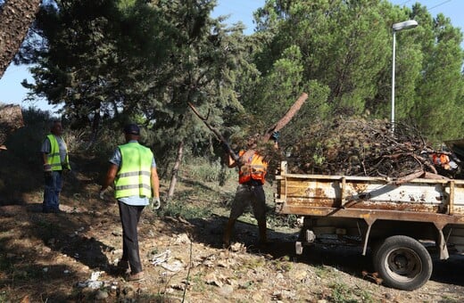 Δάση: Βροχή εκατομμυρίων για δράσεις προστασίας − υπάρχει αποτέλεσμα;