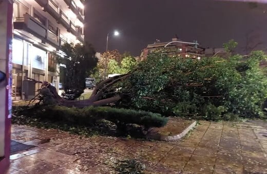 Κακοκαιρία στη Θεσσαλονίκη: Θυελλώδεις άνεμοι ξερίζωσαν δέντρα