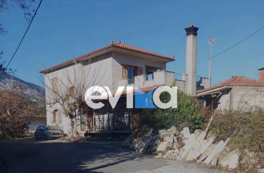 Δολοφονία Εύβοια: «Είχε ξεσπάσματα, ήταν βρώμικος και δεν αντέχαμε άλλο» λένε οι δράστες