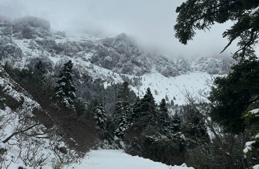 Εντυπωσιακές εικόνες από τη χιονισμένη Δίρφυ