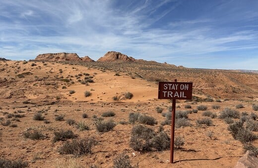 Arizona
