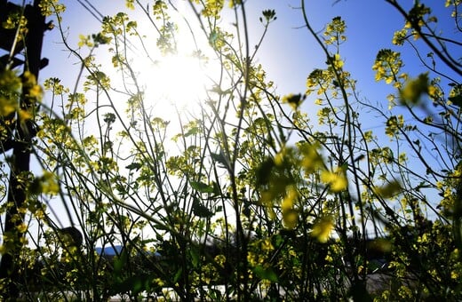 Καιρός: Πώς θα είναι την 25η Μαρτίου - Νέος γύρος αφρικανικής σκόνης