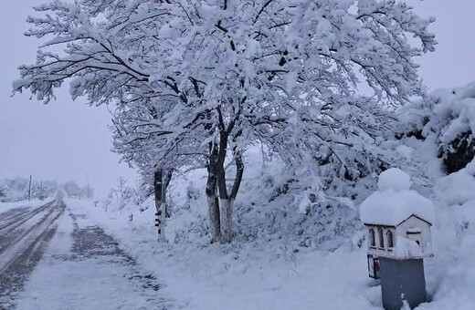 Στα «λευκά» η Βόρεια Ελλάδα - Χιόνια σε Φλώρινα, Κοζάνη, Κιλκίς και Θεσσαλονίκη