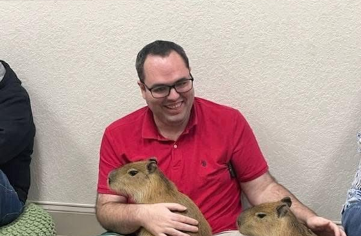 Capybara Cafe: Τα πιο viral τρωκτικά του διαδικτύου απέκτησαν το δικό τους «καφέ»