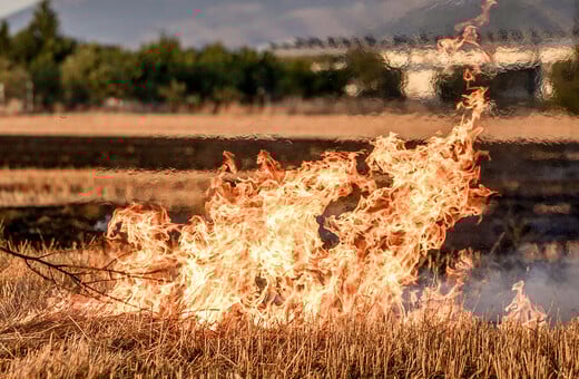 Καπνοί από πυρκαγιά απειλούν τον Βοτανικό - Μήνυμα από το 112
