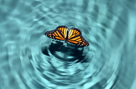 Τι είναι το Butterfly Effect και γιατί έχει γίνει viral στο TikTok