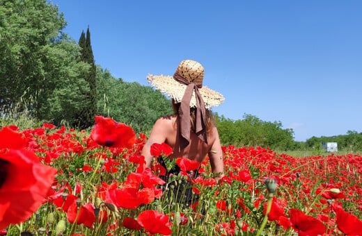 Αγίου Πνεύματος 2025: Πότε πέφτει φέτος