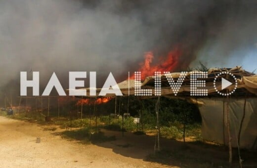 ΦΩΤΙΑ ΤΩΡΑ ΜΑΝΩΛΑΔΑ