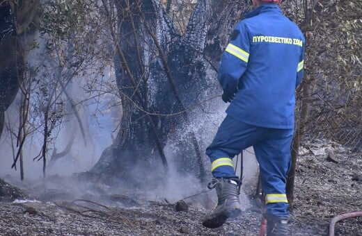 Φωτιά στη Μεσσηνία: Επιχειρούν 40 πυροσβέστες και 2 αεροσκάφη