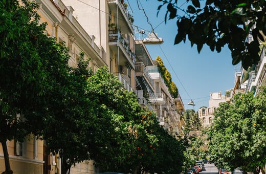 Σφήκες από την Ιαπωνία και το Βιετνάμ σώζουν τις νεραντζιές της Αθήνας ή Νεραντζιές: Γιατί κινδυνεύει το άρωμα της Αθήνας;