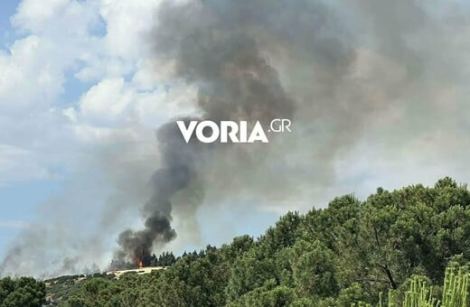Θεσσαλονίκη: Φωτιά πίσω από το νοσοκομείο «Παπαγεωργίου» – Μαίνεται κοντά σε σπίτια