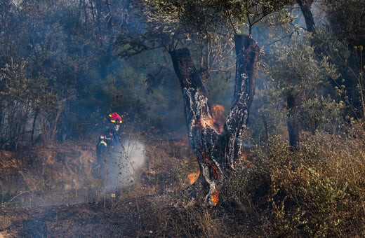 Φωτιά στη Χίο: Πώς θα εξελιχθούν σήμερα οι καιρικές συνθήκες