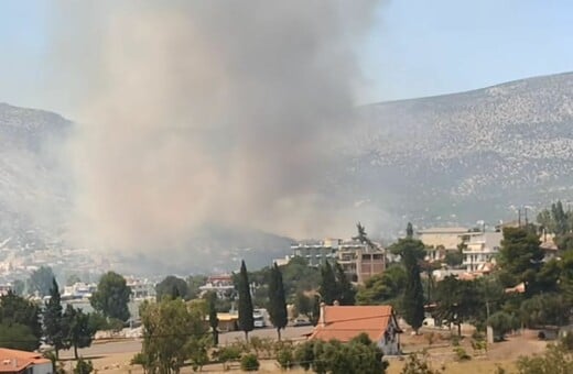 Φωτιά στην Αλυκή Βοιωτίας: «Προλάβαμε τα χειρότερα» - Εκτός κινδύνου ο οικισμός