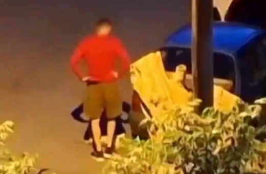 Πρόστιμο 50.000 ευρώ στον 34χρονο που σκότωσε γάτα στην Καλαμαριά