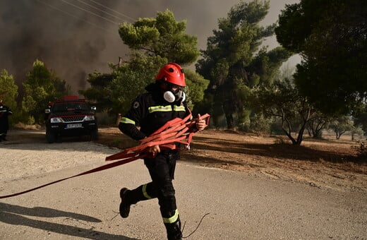 Antinero: Καταγγελία-μαμούθ για το μεγαλύτερο πρόγραμμα δασικής πρόληψης