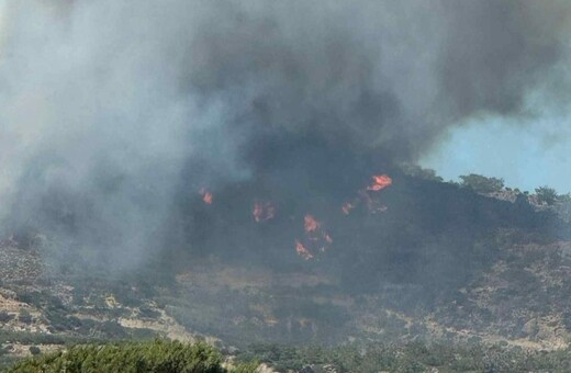 Φωτιά τώρα στις Οινιάδες Αιτωλοακαρνανίας - Καίγεται δάσος