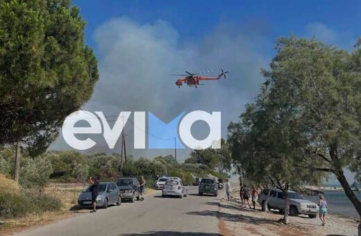 Αλιβέρι: Μία σύλληψη για την φωτιά - Σε πλήρη εξέλιξη η επιχείρηση κατάσβεσης