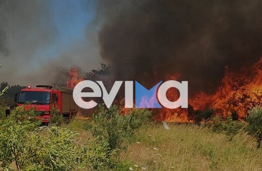 Φωτιά στο Αλιβέρι: «Η φωτιά είναι κοντά σε σπίτια» λέει ο αντιδήμαρχος