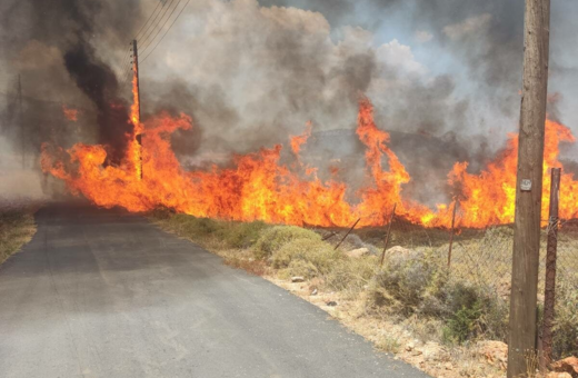 Φωτιά στη Λακωνία: Ήχησε το 112 – Μάχη με τις φλόγες από επίγειες και εναέριες δυνάμεις