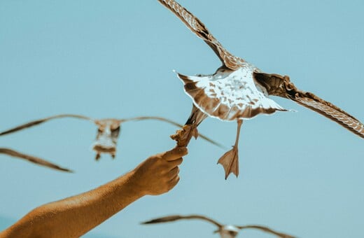 Καιρός: Έκτακτο δελτίο από την ΕΜΥ - Εξαήμερος καύσωνας με 43άρια, στο επίκεντρο η ηπειρωτική Ελλάδα