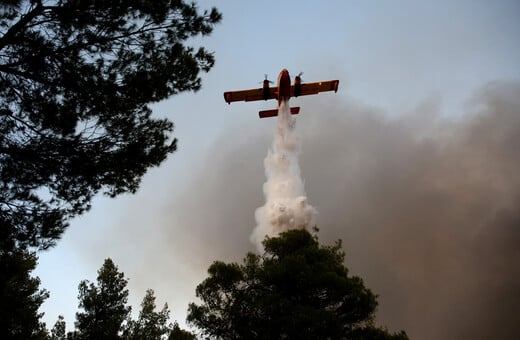 Φωτιά στην Ηλεία: Σε ύφεση η πυρκαγιά στο Γεράκι Αμαλιάδας 