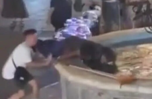 ΡΟΔΟΣ ΑΣΤΕΓΟΣ ΣΙΝΤΡΙΒΑΝΙ