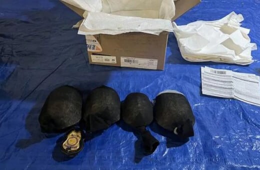 ΗΠΑ: Κινέζος ομολόγησε ότι έσειλε 850 προστατευμένες χελώνες στην Κίνα κρυμμένες σε κάλτσες