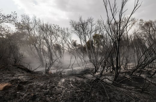 Φωτιές στην Ευρώπη: Μάχη με τις φλόγες σε Ισπανία, Πορτογαλία και Αλβανία - «Καιγόμαστε ζωντανοί»